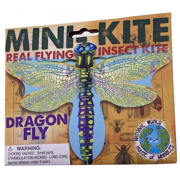 Mini Dragonfly Insect Kite By House Of Marbles