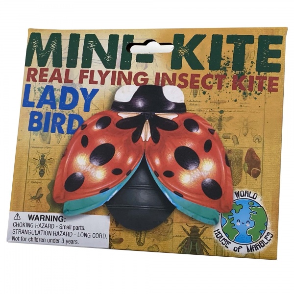 Mini Ladybird Insect Kite By House Of Marbles