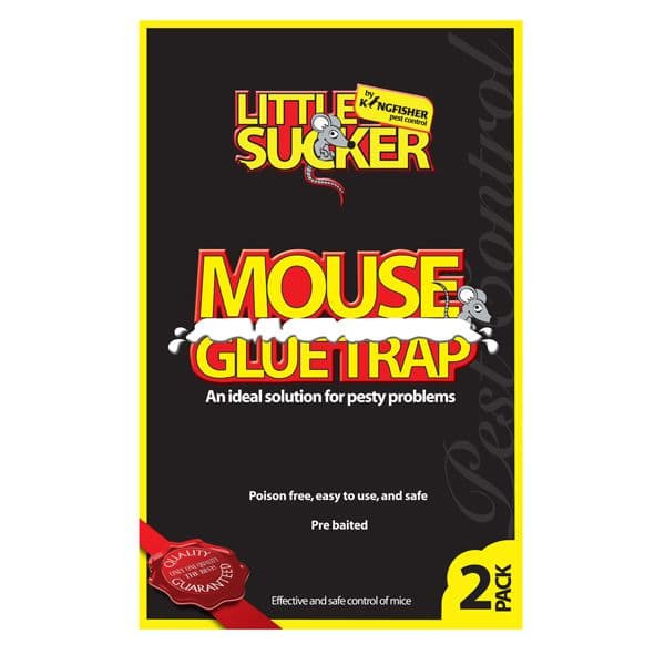 Mouse Mice Glue Trap - Kingfisher Pest Control - Poison Free, Safe & Easy (Pack of 2)