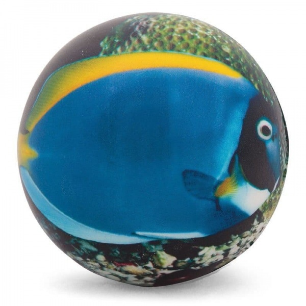 Sealife Foam Soft Stress Ball - Assorted Designs (1 Supplied)