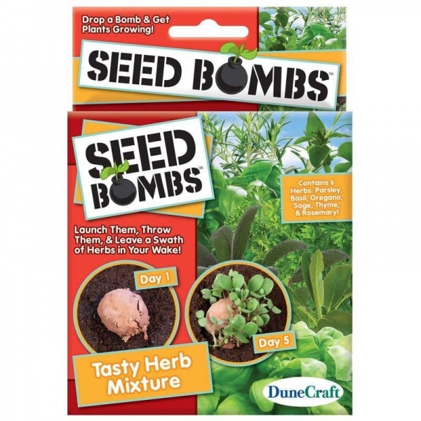 Seed Bombs - Grow Your Own Plants & Herbs Cactus DuneCraft (1 Supplied)